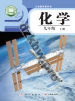 仁爱版科普版九年级化学下册