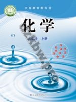 鲁教版九年级化学上册