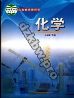 鲁教版九年级化学下册