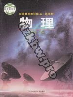 鲁科版九年级物理下册